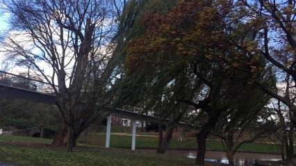 La tempête Nanette souffle sur Liège 3