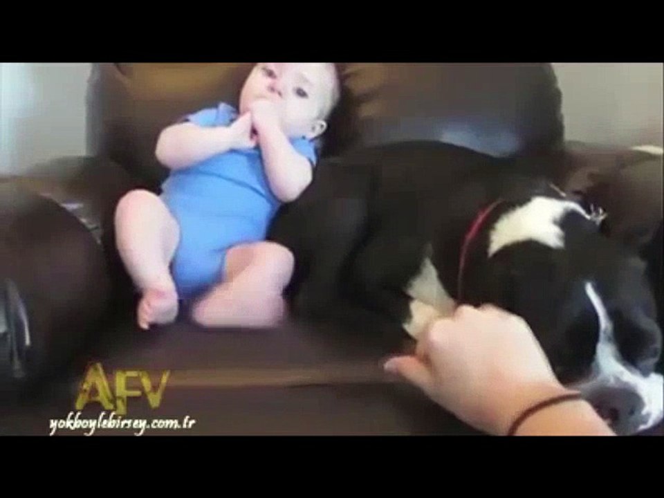 WhatsApp Video 2016-11-18 at 07.41.34