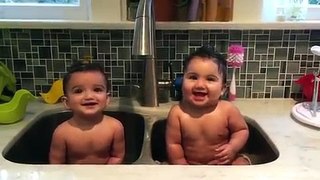 Twin babies in sink laugh at mom