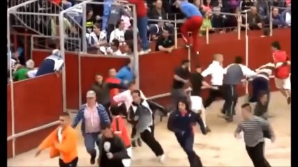 Super Dangerous Bull Fight ever of the year
