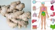 Eat Ginger Every Day for 1 Month and This Will Happen to Your Body