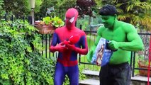Hulk perde suas calças! w Spiderman, Elsa, Leão, Black Spiderman, Spidergirl Rosa & Gum