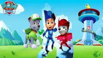 PAW PATROL Transforms Into PJ MASKS - Gekko Owlette Catboy as Ryder Rocky Marcus│Coloring for kids