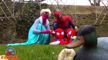 Spiderman vs Frozen Elsa Twin Spiderbaby w Pink Spidergirl is Frozen Elsa in Real Life