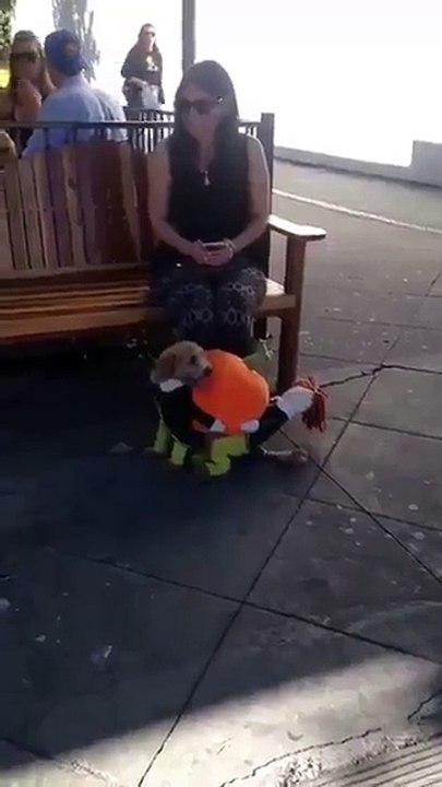 THIS IS THE CUTEST THING EVER Funny video