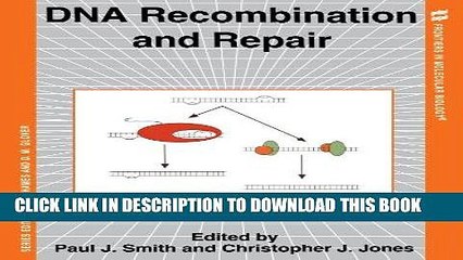 Ebook DNA Recombination and Repair (Frontiers in Molecular Biology) Free Read