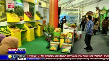 Fruit Indonesia 2016 #6
