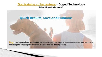 Dog training collar reviews - Doged Technology