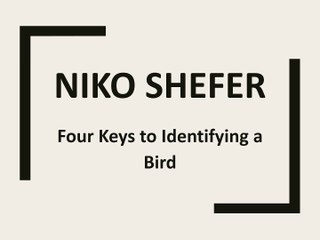 Niko Shefer - Four Keys to Identifying a Bird