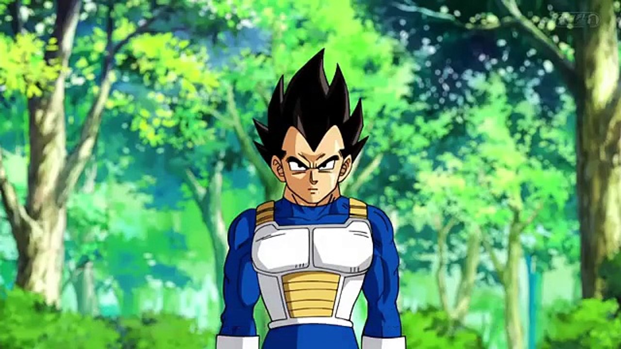 Dragonball z Ultra Super Saiyan Future Trunks vs Super Saiyan Blue Vegeta