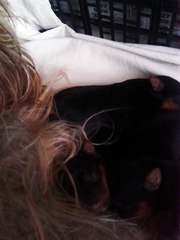 bébés nés 16 11 16   Hella et Héros 0161117_091814