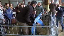 Alpes-de-Haute-Provence : 184 élèves ont découvert la filière ovine à Valernes