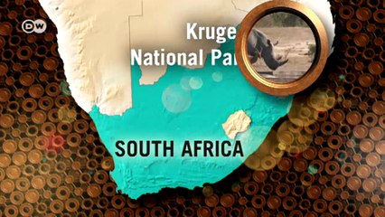 World Stories - The Week in Reports | World Stories