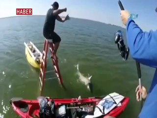 Merdiven ve oltayla köpekbalığı yakaladılar
