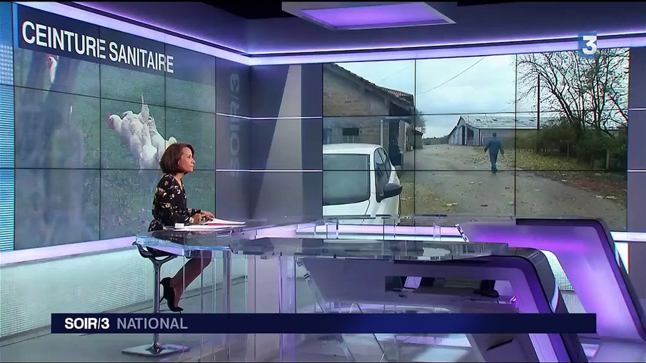 Grippe aviaire : les éleveurs français en alerte