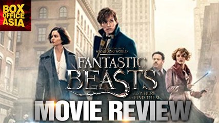 Fantastic Beasts and Where to Find Them MOVIE REVIEW | Box office Asia