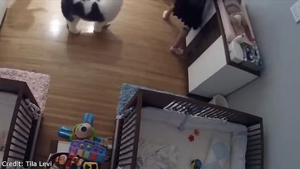 Boy, 9, catches baby brother who falls from change table