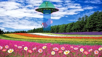 Peppa pig español Crying in Prison! witch - Peppa Pig Catching Pokemon GO