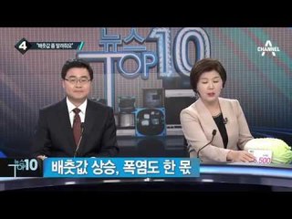 추석 앞두고 배추 '금값'…한포기에 얼마?_채널A_뉴스TOP10