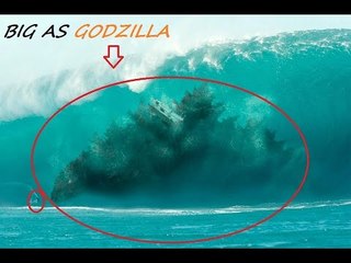 Biggest Animals All Time - Abnormally Large and giant Animals discovery 2016