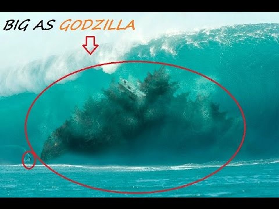 Biggest Animals All Time - Abnormally Large and giant Animals discovery 2016