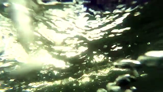 Plunges a video camera in a pond of Chernobyl.