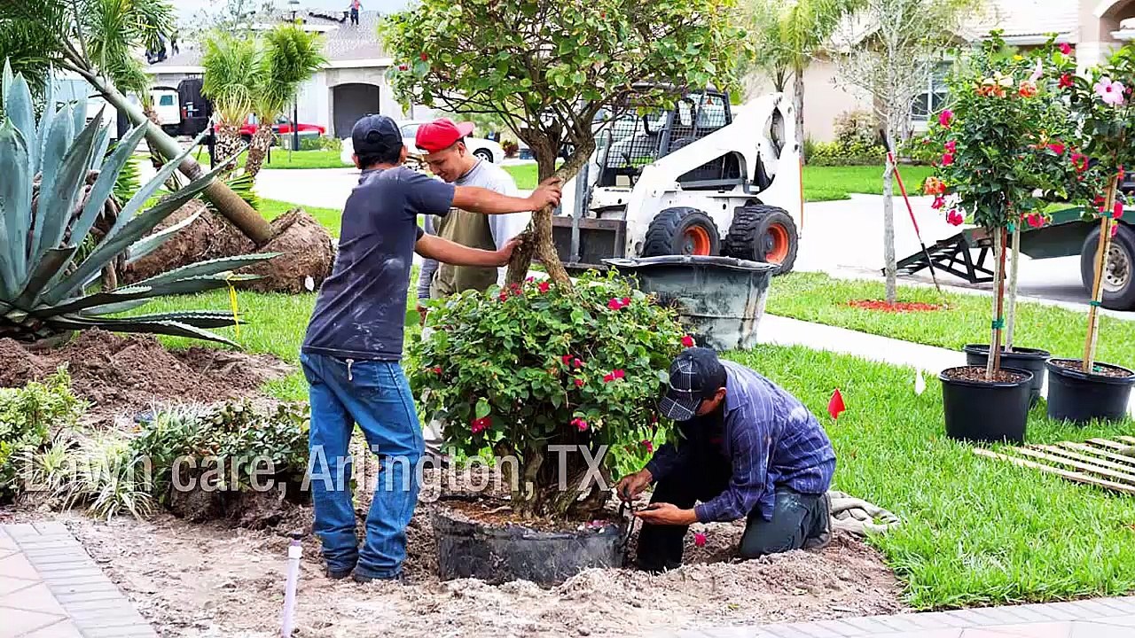 Why Choose Vista Turf for Maintaining Your Green Space in Your Property