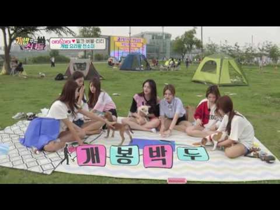 전소미가 직접 만든 개밥 퀄리티 끝판왕! “그거 나도 먹었어!”