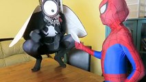 Spiderman vs Venom vs Joker vs The Fly w Frozen Elsa Batman Funny Superheroes