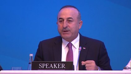 Bakan Çavuşoğlu'ndan Ermeni vekile tokat gibi DEAŞ cevabı