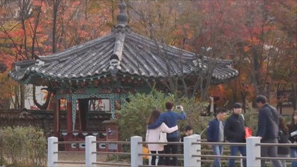 هذا الصباح- قرية تجذب مئات آلاف السياح بكوريا الجنوبية