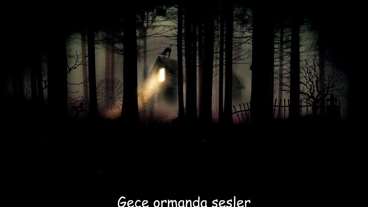 Gece ormanda sesler