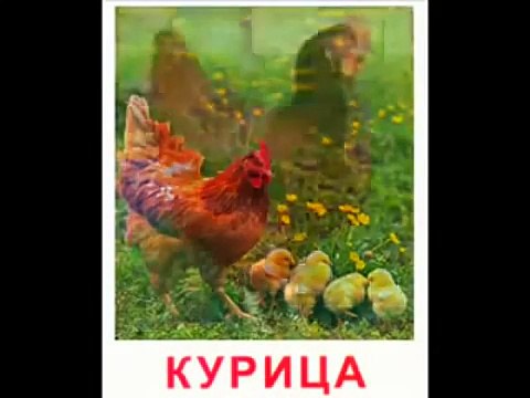 Развивающее видео Учим, как говорят домашние животные Для самых маленьких!!