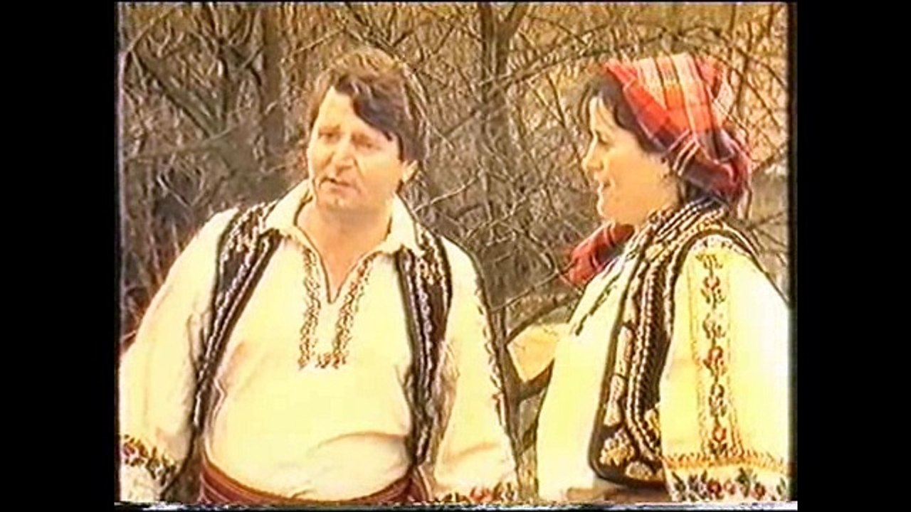 Braca Jerkovic - Volim curu