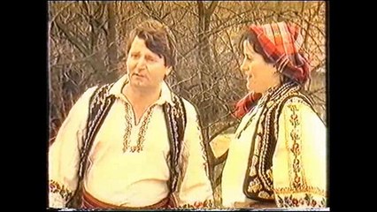 Braca Jerkovic - Volim curu