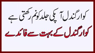 Benefits Of Aloe Vera , Health Tips In Urdu