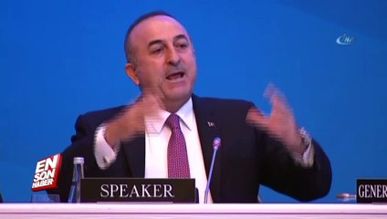 Bakan Mevlüt Çavuşoğlu'ndan Ermeni vekile sert tepki