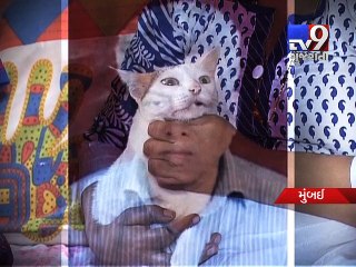 Mumbai: Senior citizen falls off tree trying to save pet cat, dies - Tv9 Gujarati