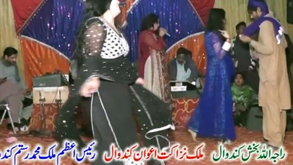 New Private VIP Dance - New Mehfil Mujra - Punjab Wedding Tradition - Full HD Video 7