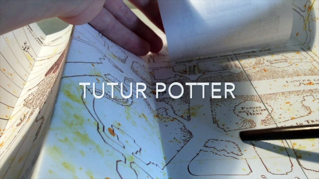 Baguette de Sirius Black - Tutur Potter