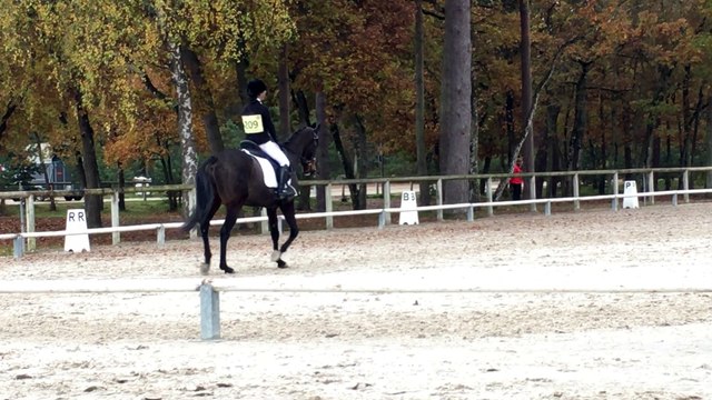 Dressage Olympic & Gwenaëlle CCE Ama2 Fontainebleau 11.11.2016