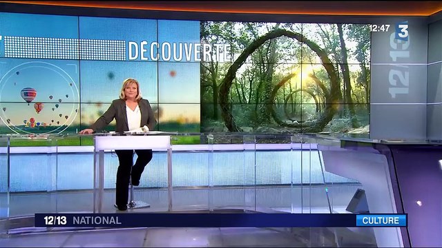 Alpes-Maritimes : les sculptures éphémères de la forêt