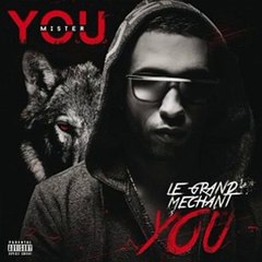 Mister you - Tiers-monde __ Audio Officiel __ Le grand méchant You (Mixtape)