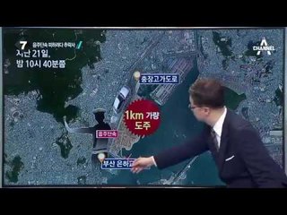 음주단속 피하려다 고가도로서…운전자 사망_채널A_뉴스TOP10