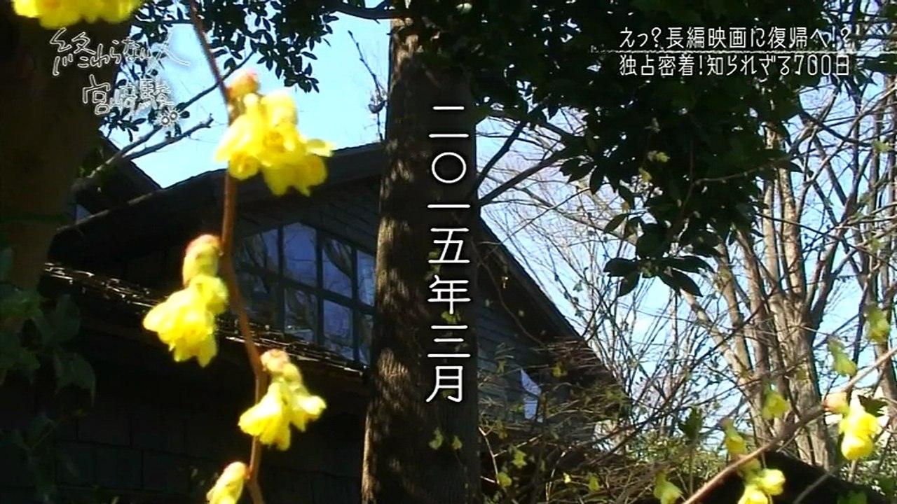 Owaranai Hito Miyazaki Hayao - L'homme qui n'en a pas fini : Hayao Miyazaki)