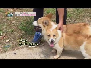 프로 사랑꾼 대중소, 야구장서 제대로 바람나다! 우린 지금 야단났어!