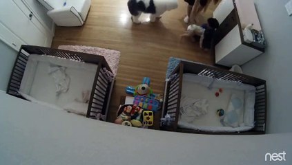 Un enfant de 9 ans rattrape de justesse un bébé