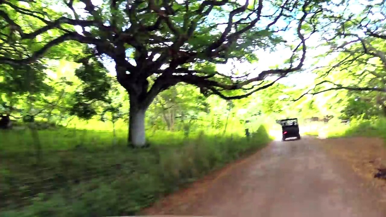 DEAD IN HAWAII! Dinosaur-Wheeling ATV Tour @ Kualoa Ranch