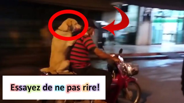 compilations chutes #67 compilation chutes compilation de chutes chutes compile gag