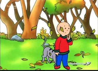 Caillou S01e19b - Caillous Erntedankfest